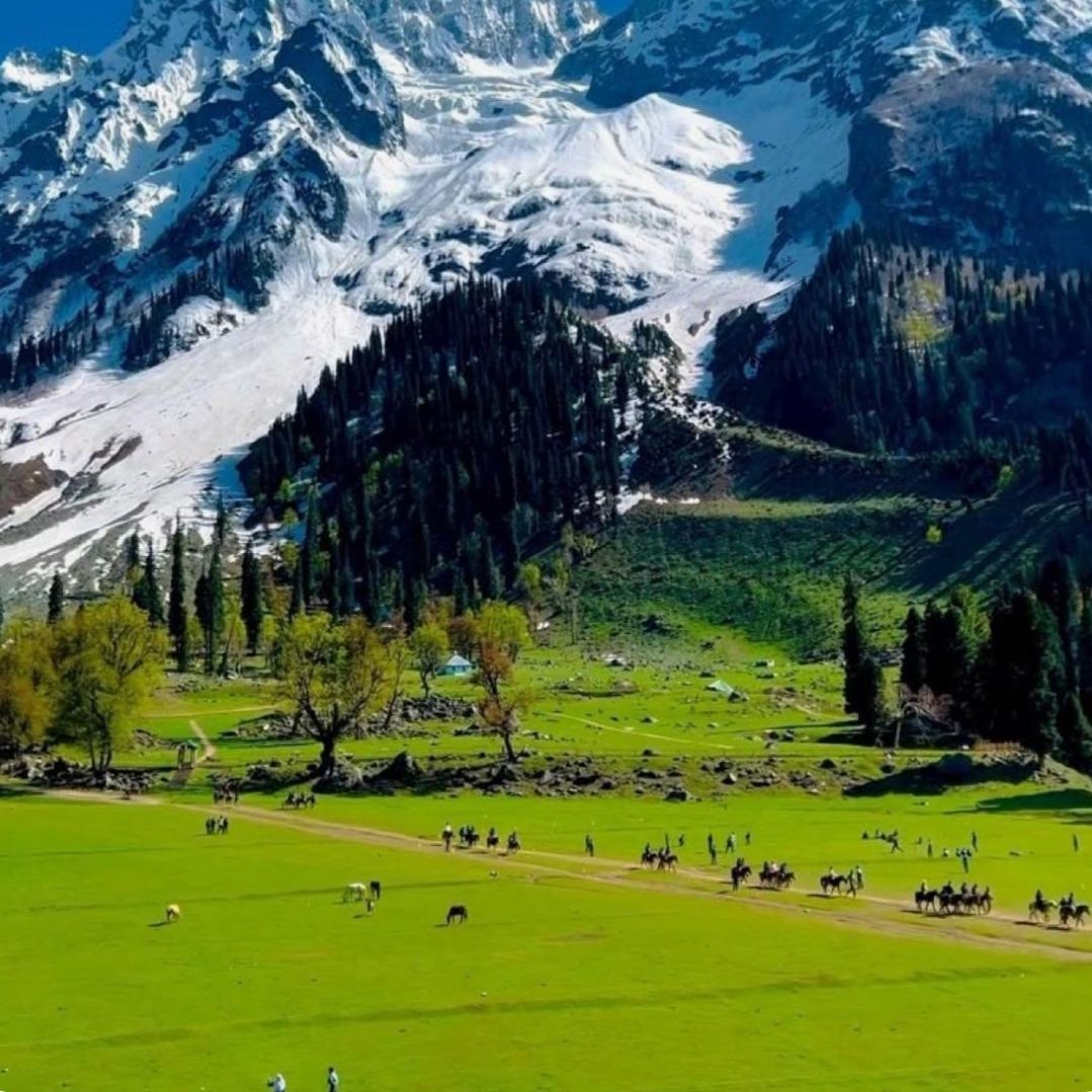Kashmir 4N / 5D Itinerary