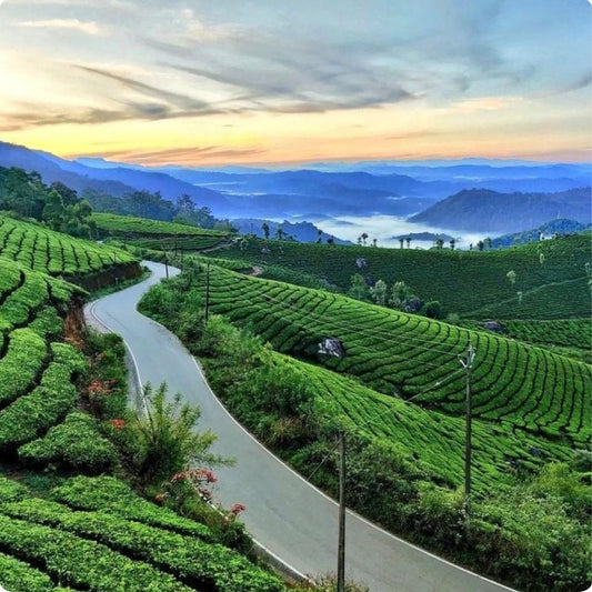 Kerala 4N / 5D Itinerary