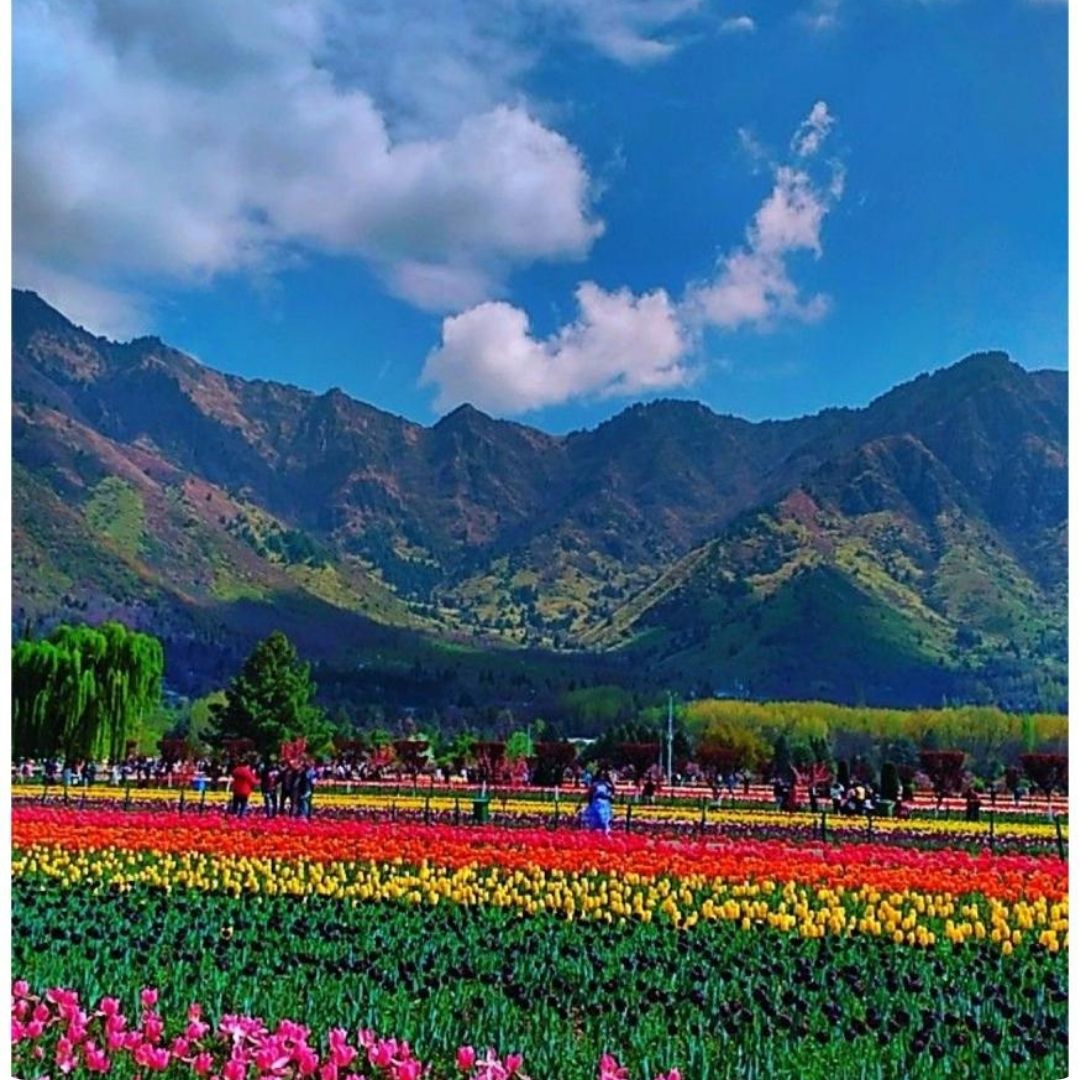 Kashmir 4N / 5D Itinerary