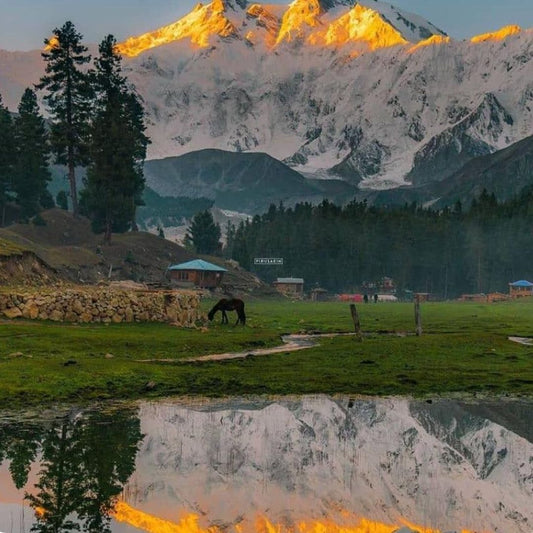 Kashmir 4N / 5D Itinerary