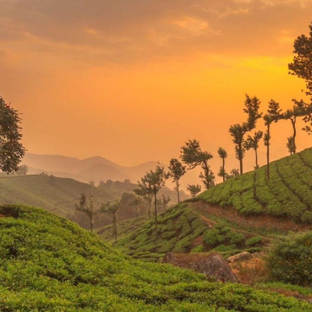 Kerala 4N / 5D Itinerary