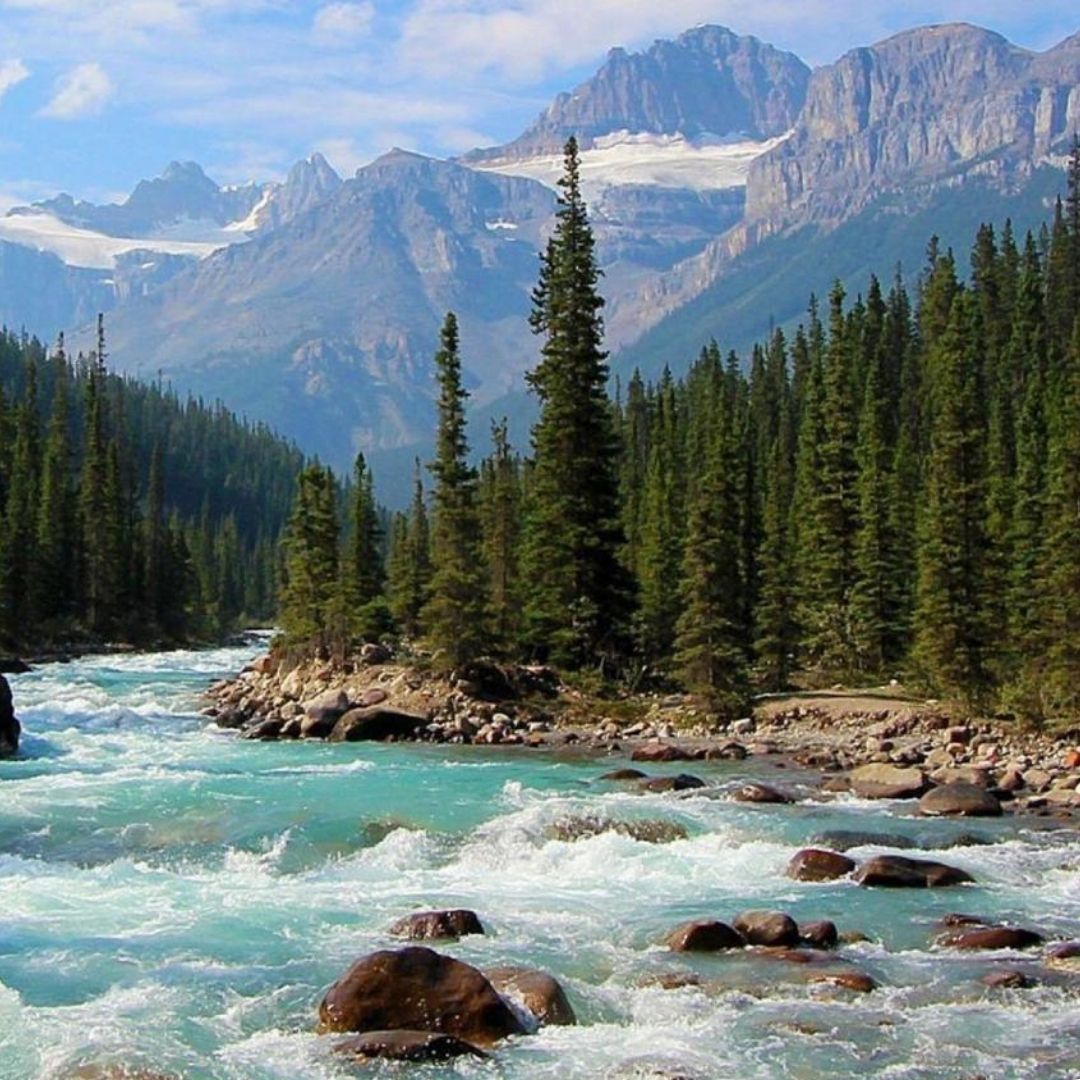 Kashmir 4N / 5D Itinerary