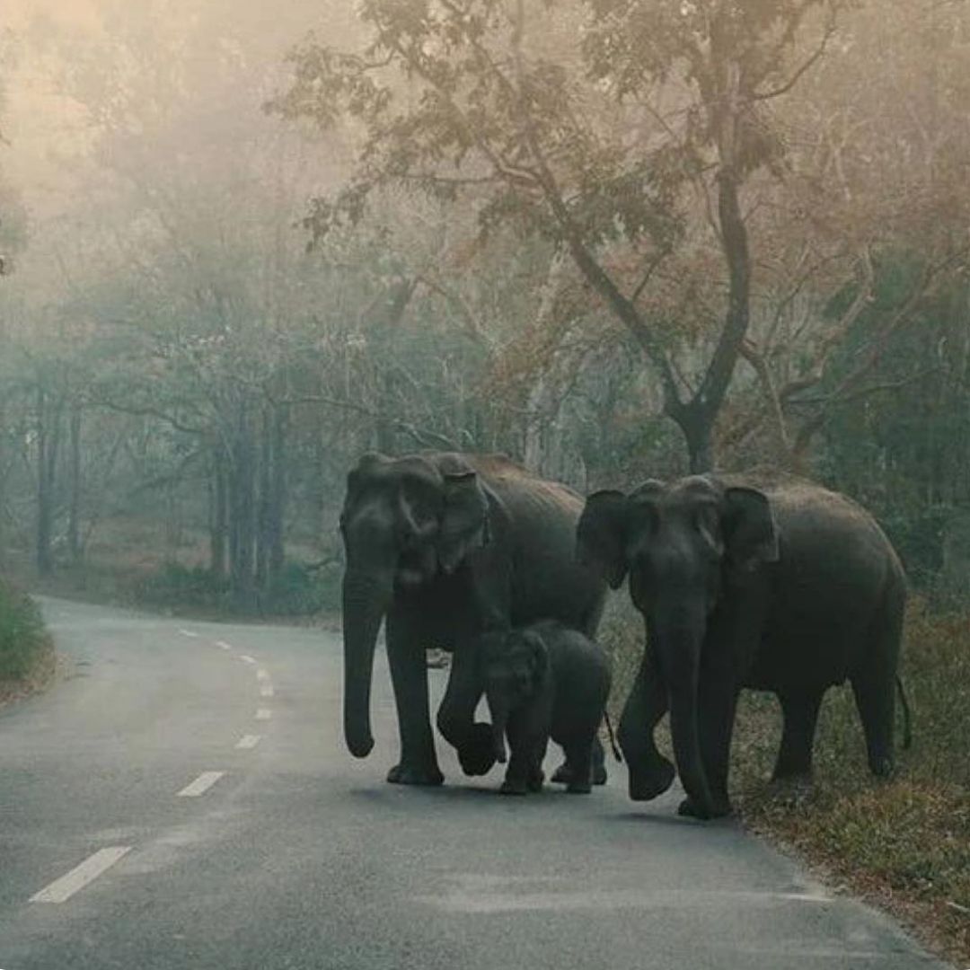 Kerala 4N / 5D Itinerary